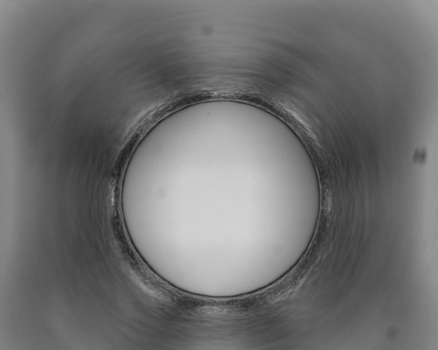 X0000090930733200707301114