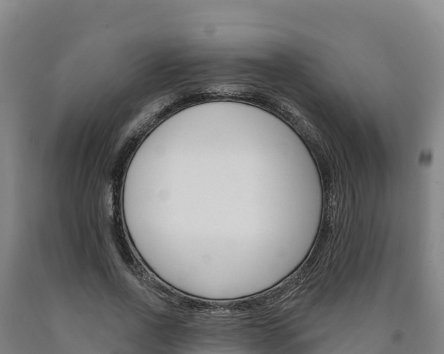 X0000090930734200707301114