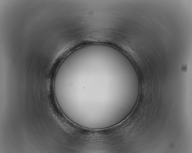 X0000090930735200707301114