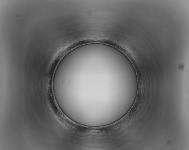 X0000090930736200707301114