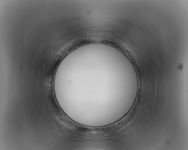 X0000090930737200707301114