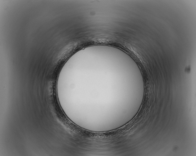 X0000090930738200707301114