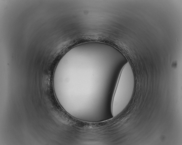 X0000090930739200707301114