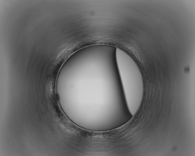X0000090930740200707301114