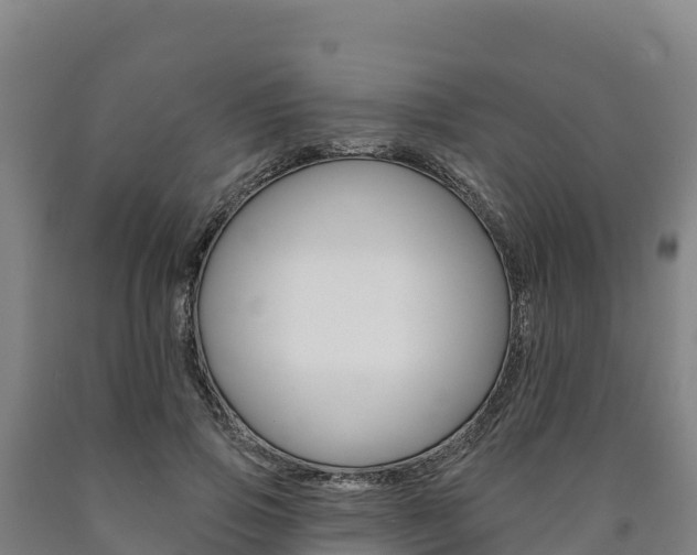 X0000090930741200707301114