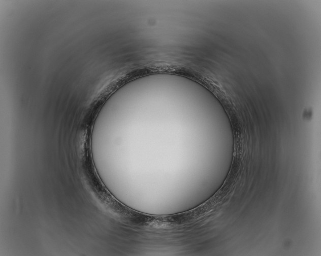 X0000090930742200707301114
