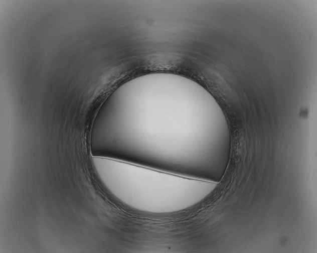 X0000090930743200707301114