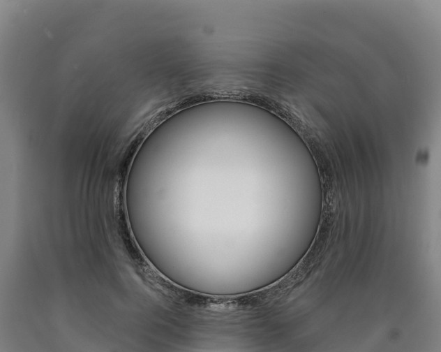 X0000090930744200707301114