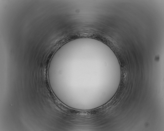 X0000090930745200707301114