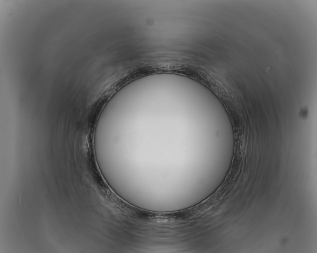 X0000090930746200707301114