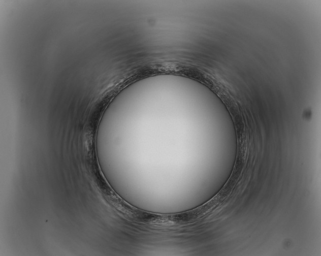 X0000090930747200707301114