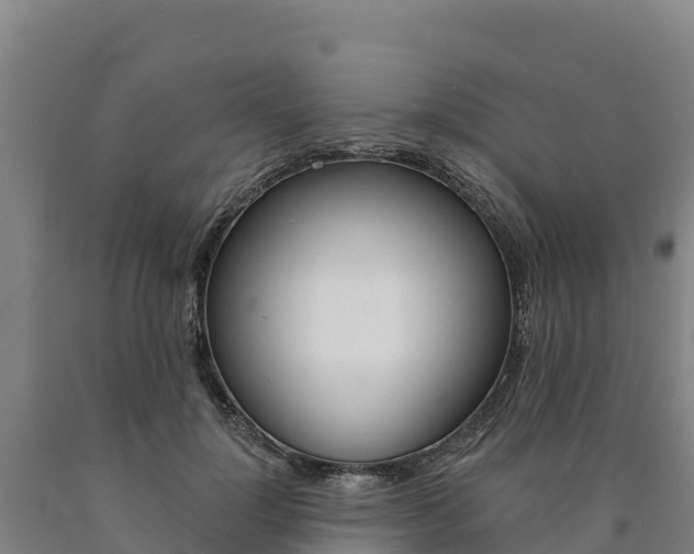 X0000090930748200707301114
