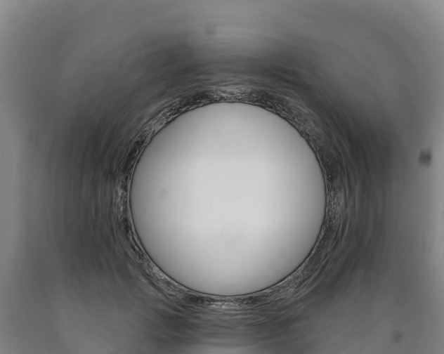 X0000090930749200707301114