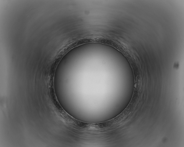 X0000090930750200707301114
