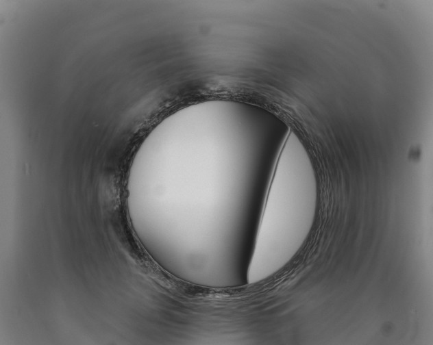X0000090930751200707301114