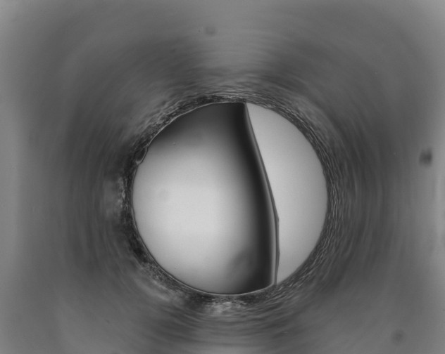 X0000090930752200707301114