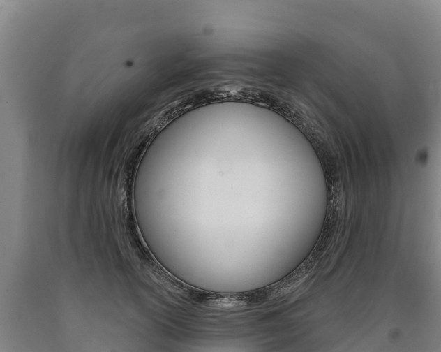 X0000090930754200707301114