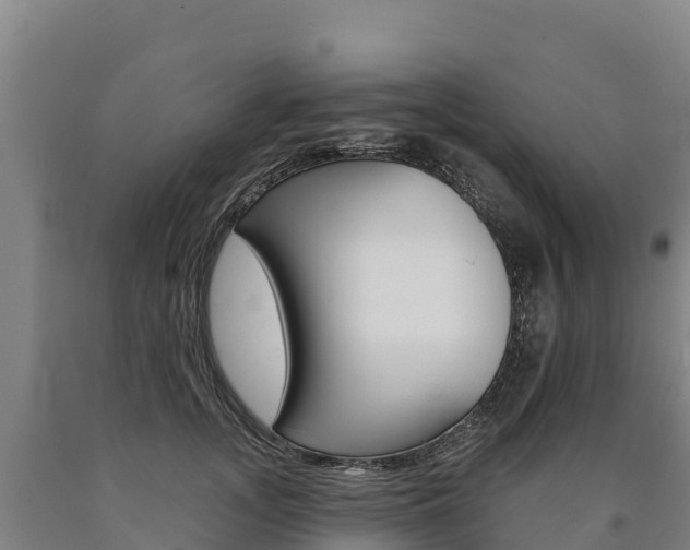 X0000090930755200707301114