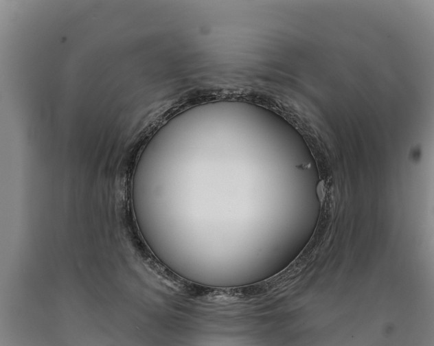 X0000090930756200707301114