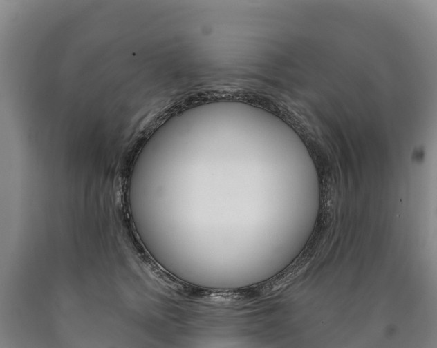 X0000090930758200707301114