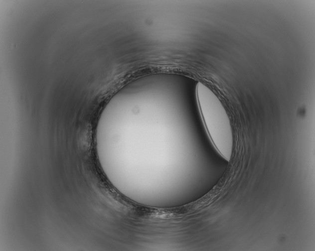 X0000090930760200707301114