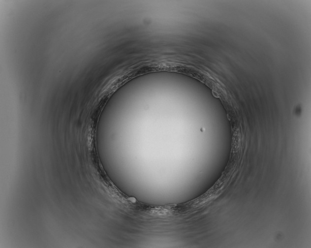 X0000090930762200707301114