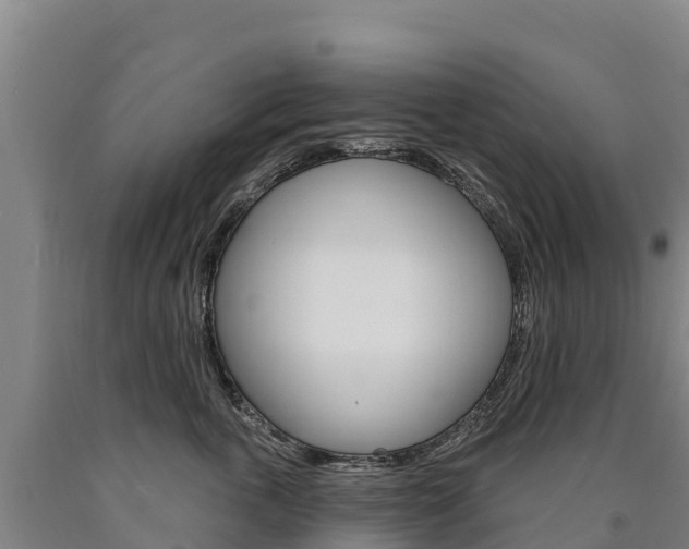 X0000090930763200707301114