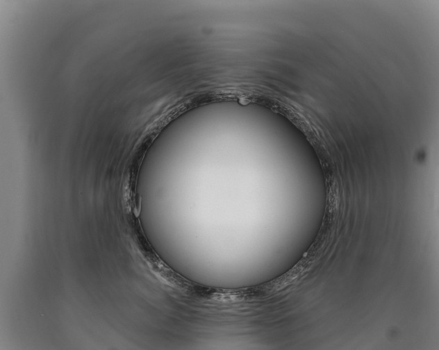 X0000090930764200707301114
