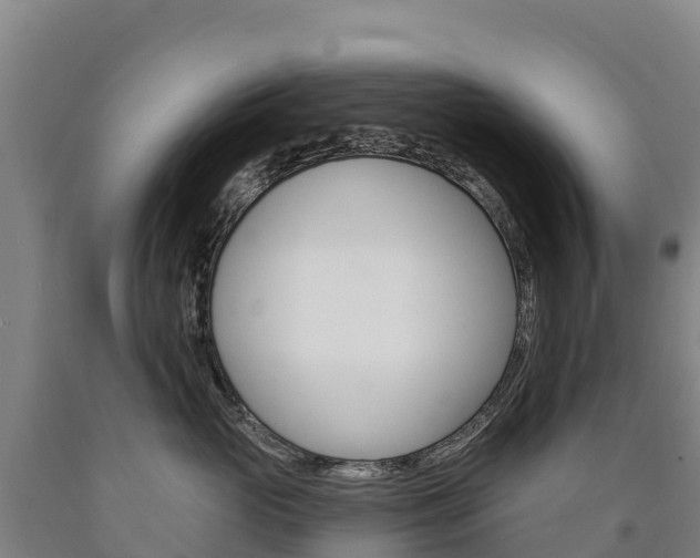 X0000090930765200707301114
