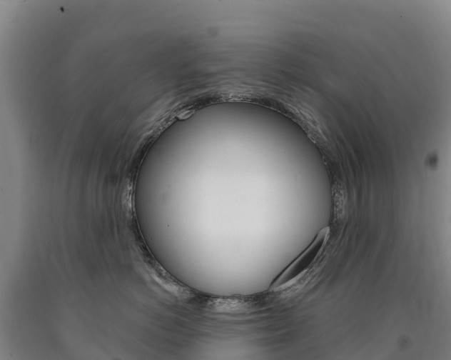 X0000090930766200707301114