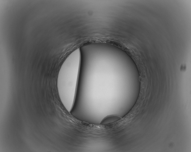 X0000090930768200707301114