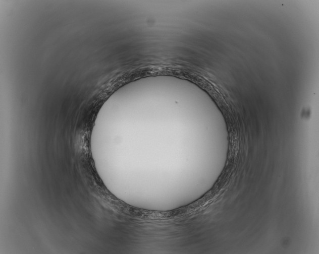 X0000090930770200707301114