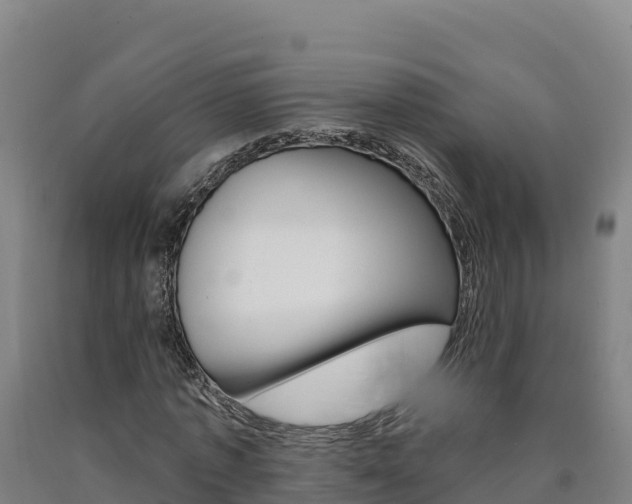 X0000090930773200707301114