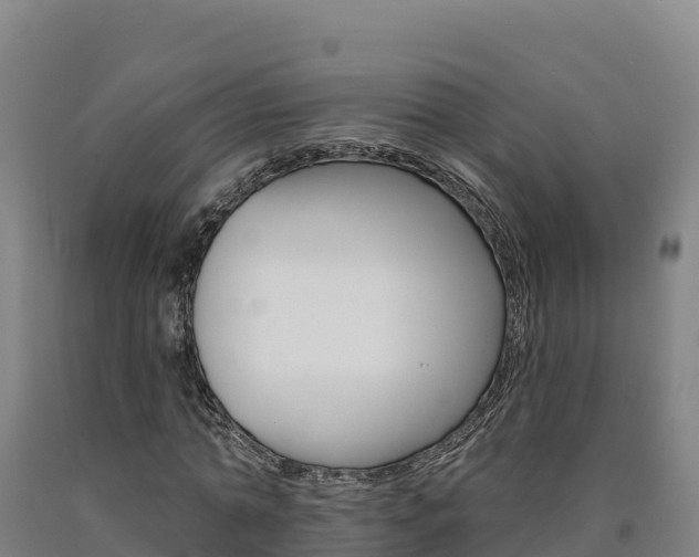 X0000090930774200707301114