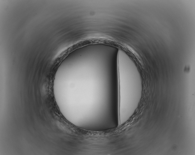 X0000090930775200707301114