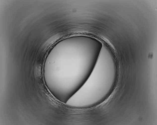 X0000090930777200707301114