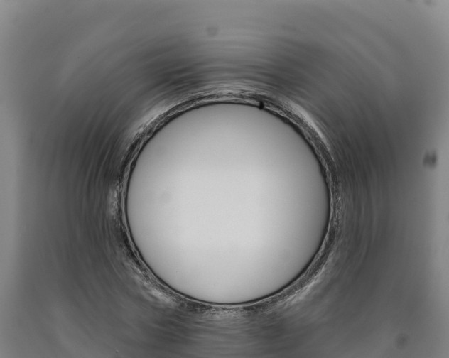 X0000090930778200707301114