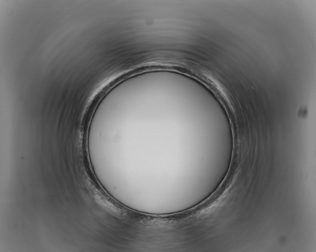 X0000090930779200707301114