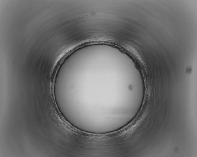 X0000090930781200707301114