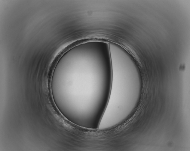 X0000090930784200707301114