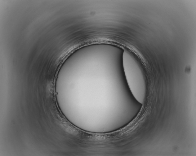 X0000090930785200707301114