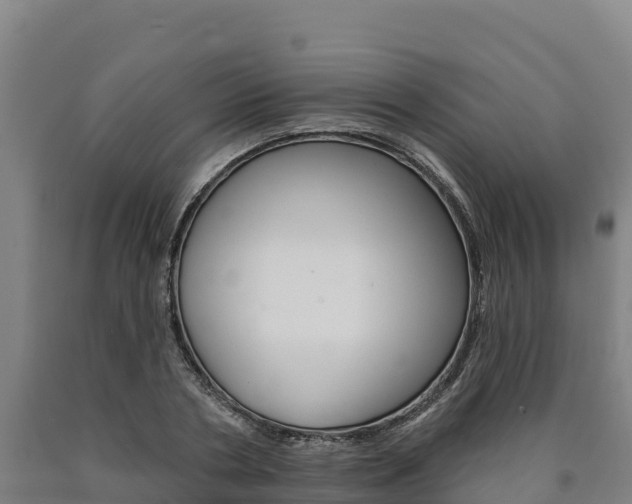 X0000090930786200707301114