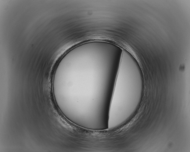 X0000090930787200707301114