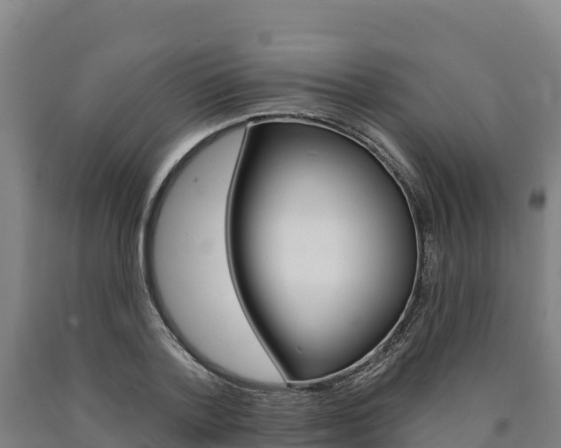 X0000090930788200707301114