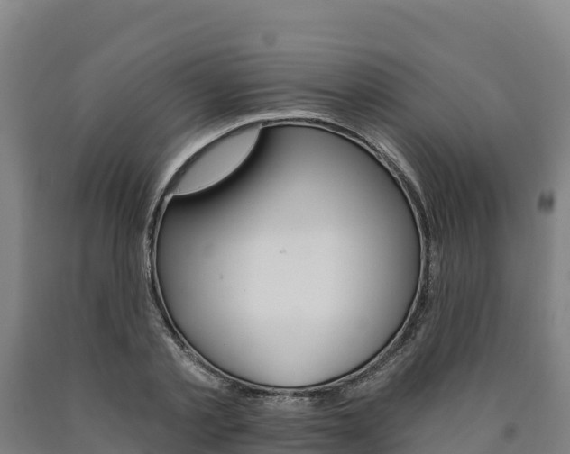 X0000090930789200707301114