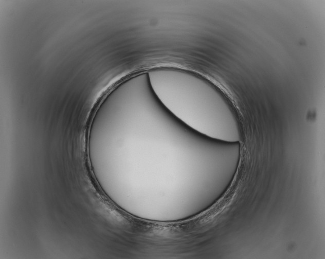 X0000090930790200707301114