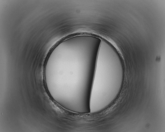 X0000090930791200707301114