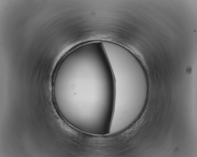 X0000090930792200707301114