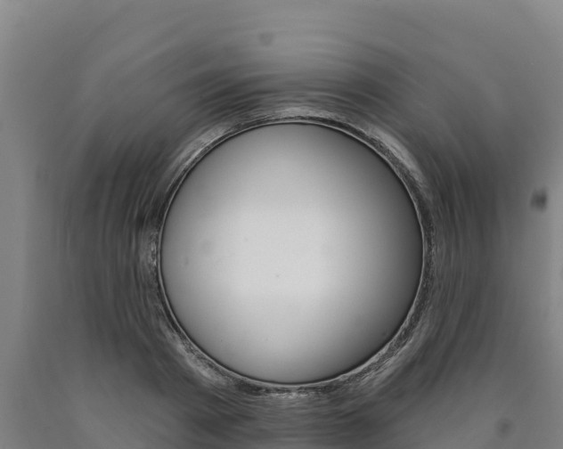 X0000090930793200707301114