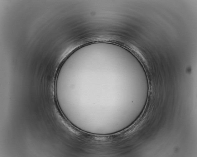 X0000090930794200707301113